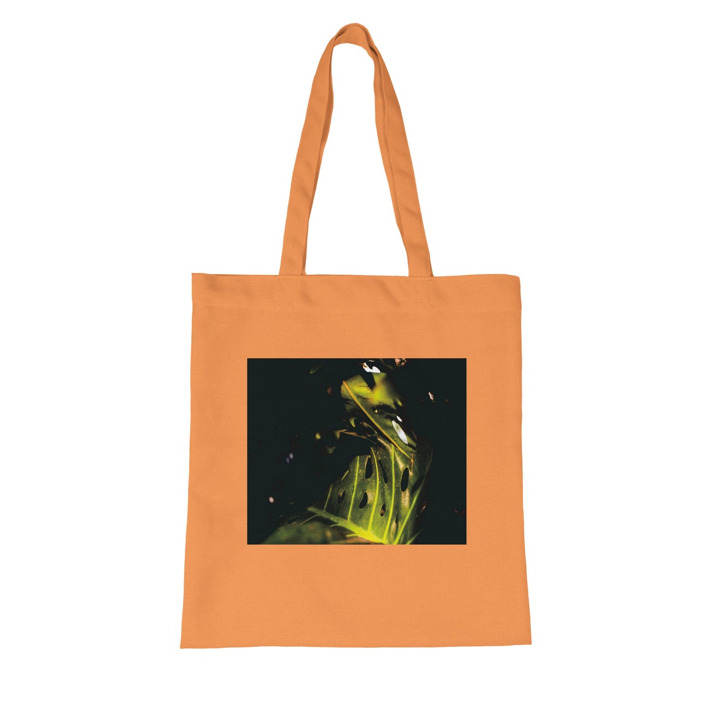 295ff22c-6862-4567-b24a-957e70b7041f