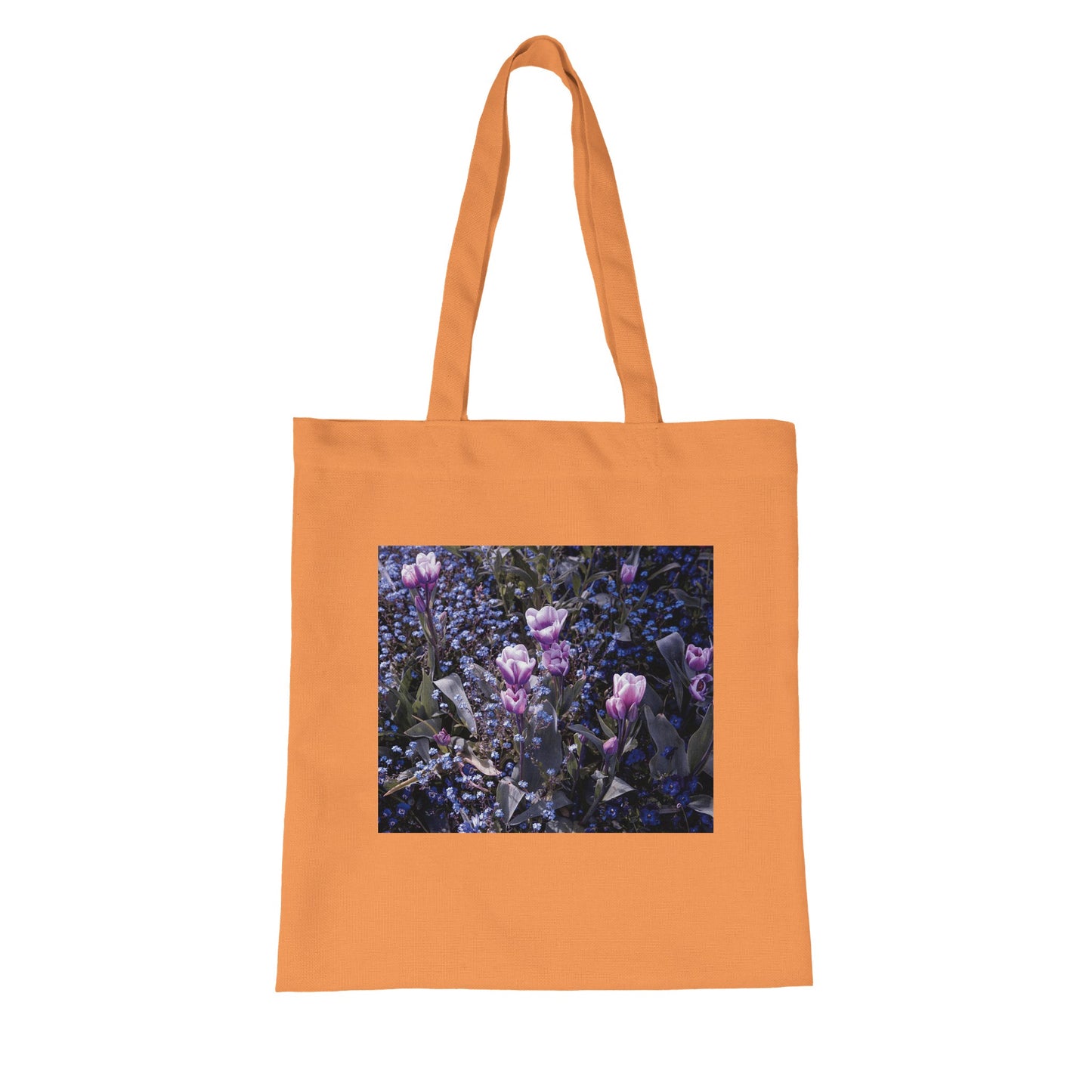 6a919be8-f0db-4760-807e-7a6a239f7d29