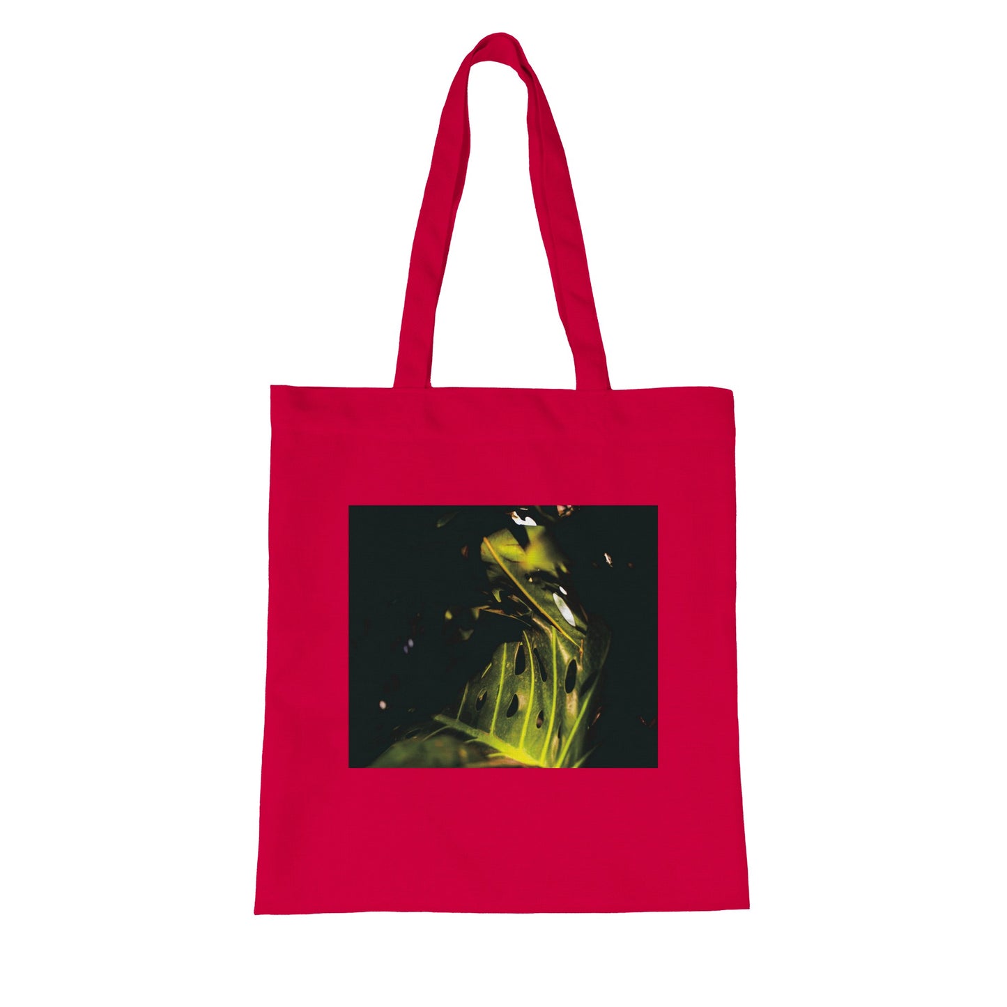 8b844d2a-32e9-4d6f-b7d0-2c845586e0f1