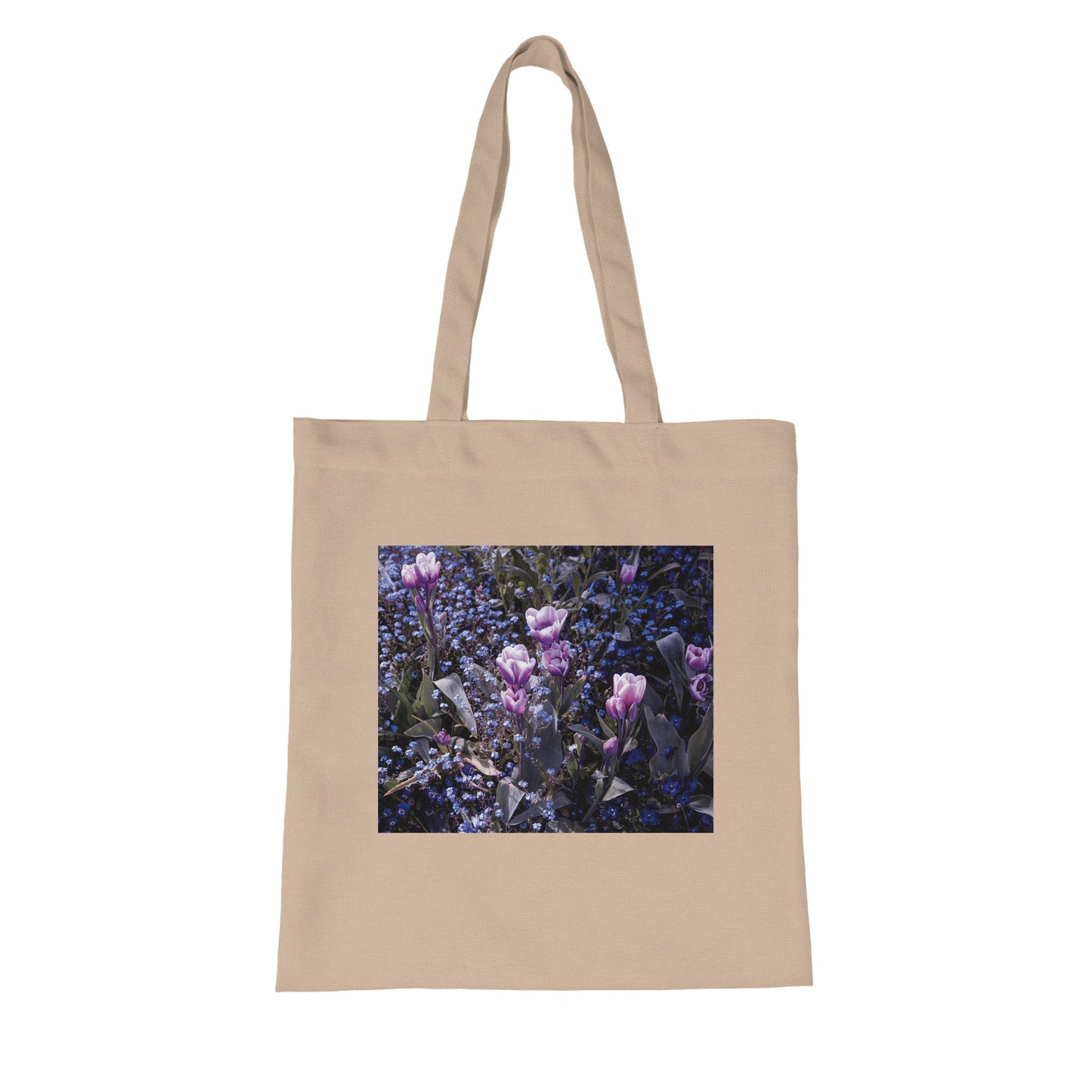 e275e253-a155-4111-9724-bfaac3e04709