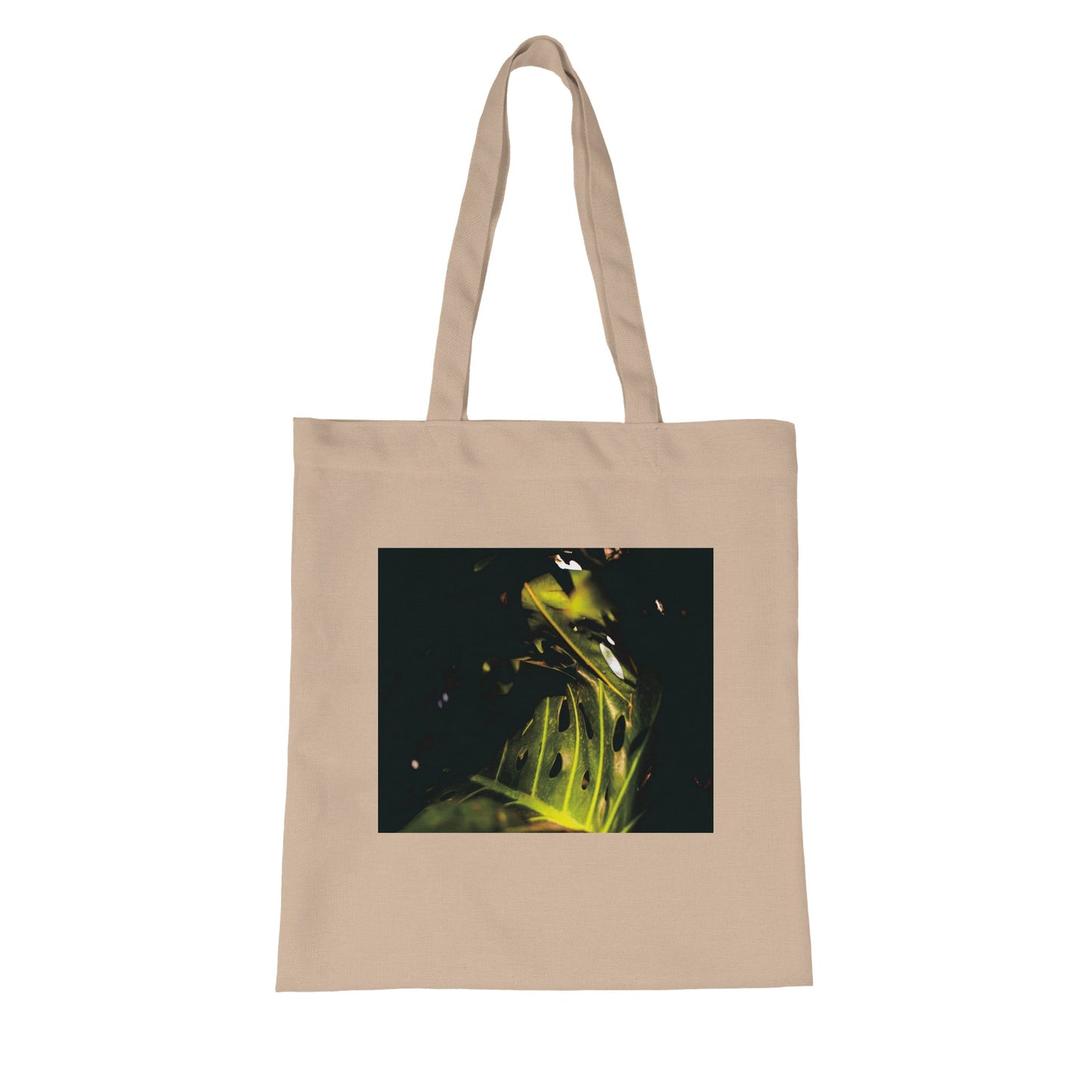 fa2bfd09-fd98-4838-86aa-6d0a1a1b6575